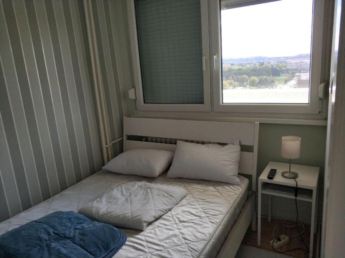 Ferienwohnung Alexplatz Danube View Belgrad Exterior foto